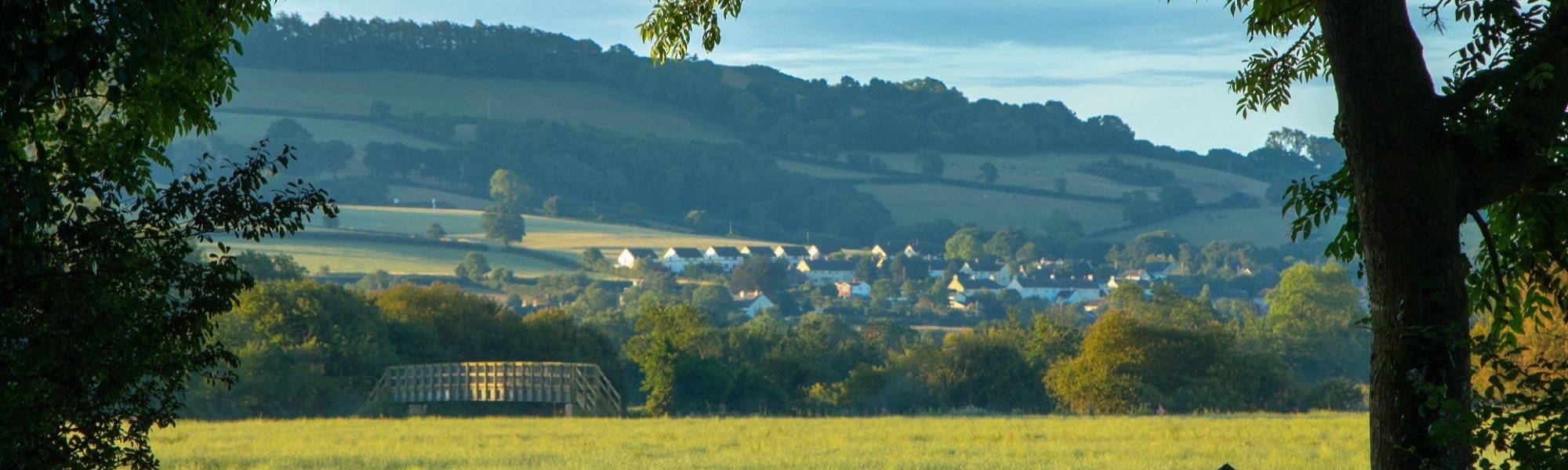 Farmland near town of Axminster in East Devon, UK.