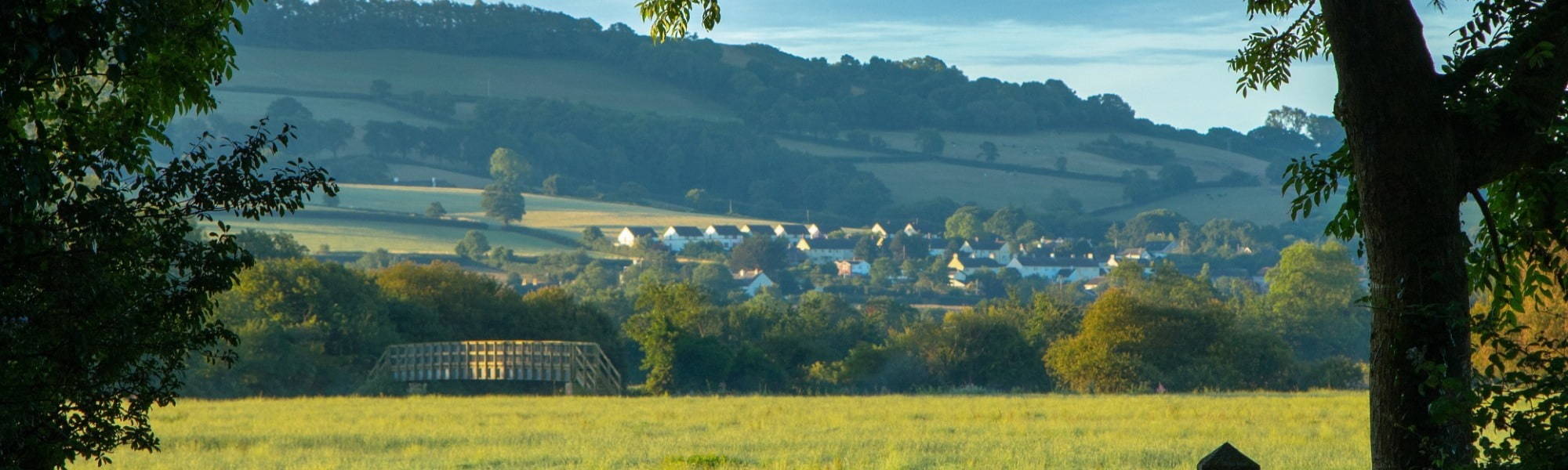 Farmland near town of Axminster in East Devon, UK.